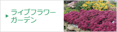 岐阜県岐阜市の株式会社ジャパンプランツ ライブフラワーガーデン