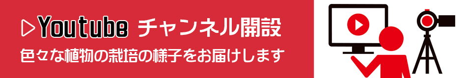 園芸植物の栽培説明