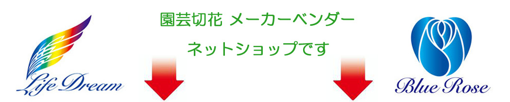 産直花だんインターネット通販タイトル