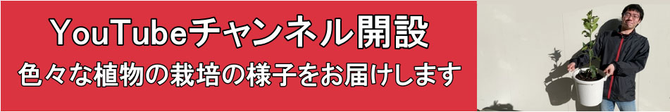園芸植物の栽培説明