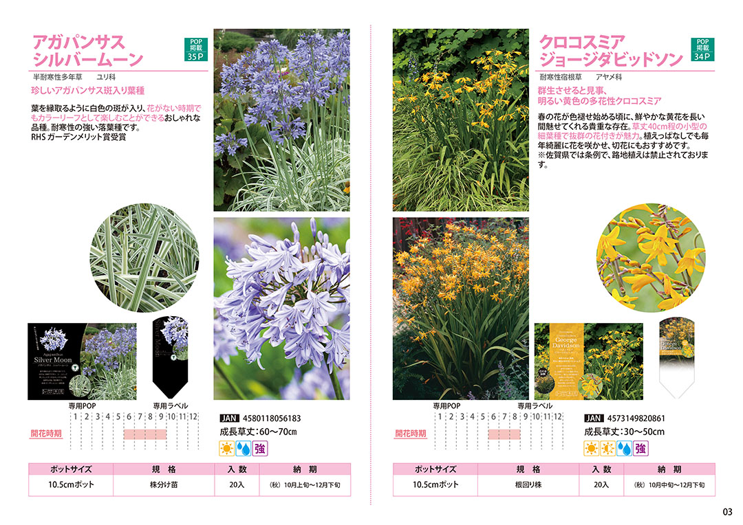 株式会社ジャパンプランツ|JAPAN PLANTS Webカタログ2024