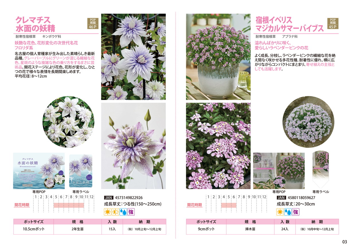 株式会社ジャパンプランツ|JAPAN PLANTS Webカタログ2025